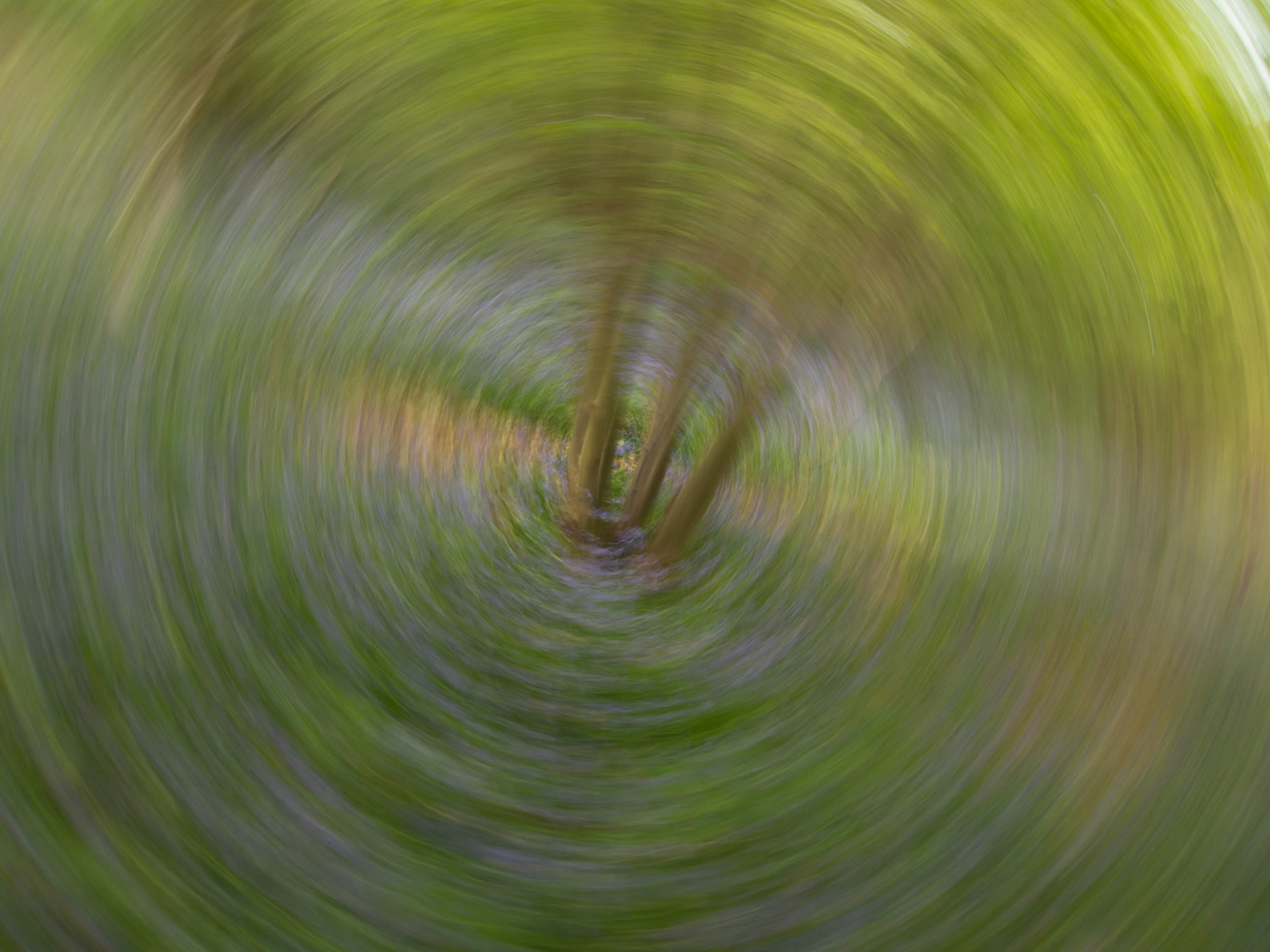 Spinning