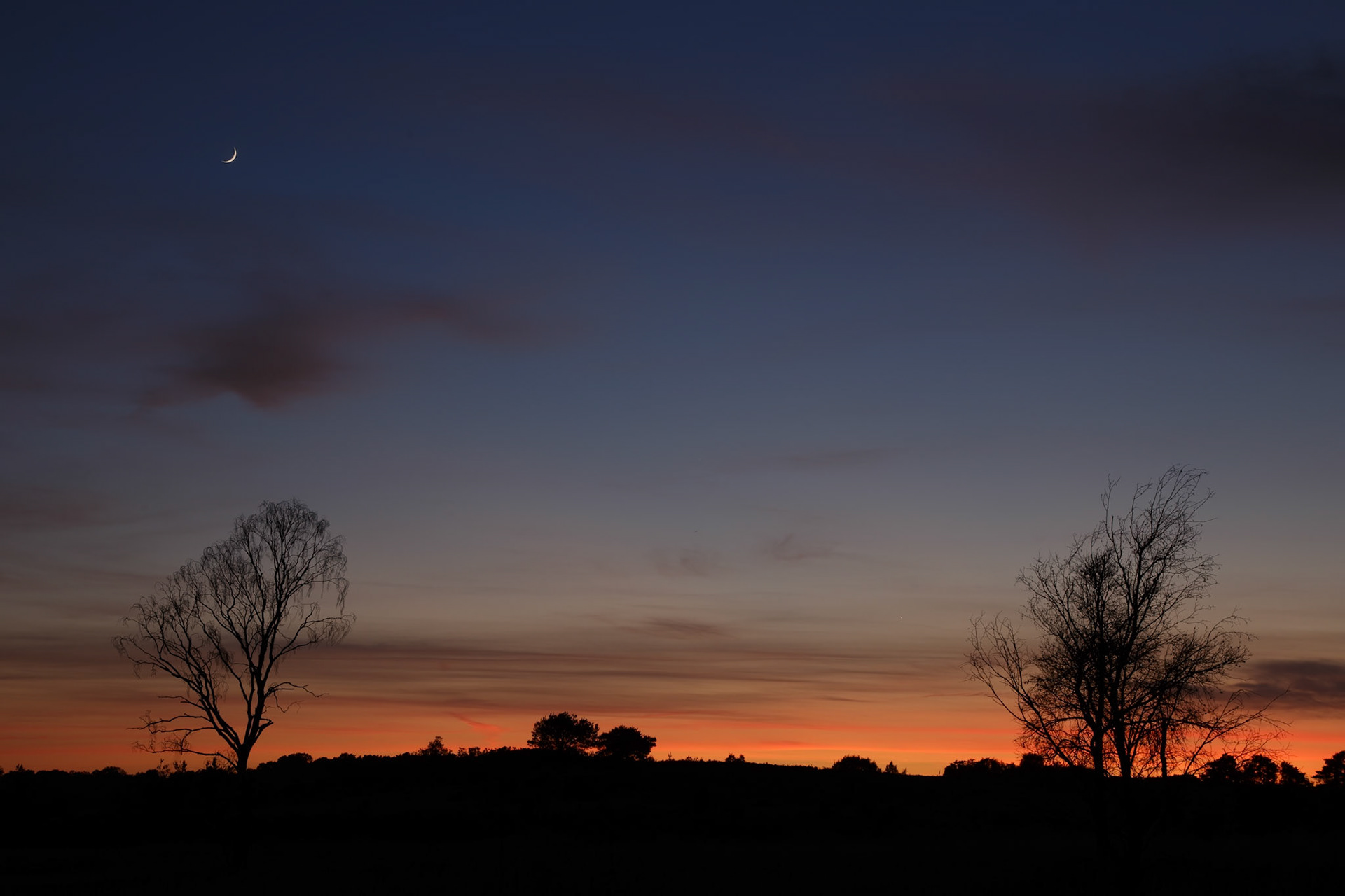 Mercury very faint in centre of image, Venus bottom right.