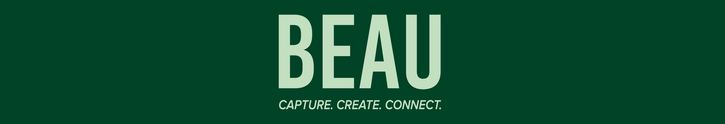 Beau van Hout