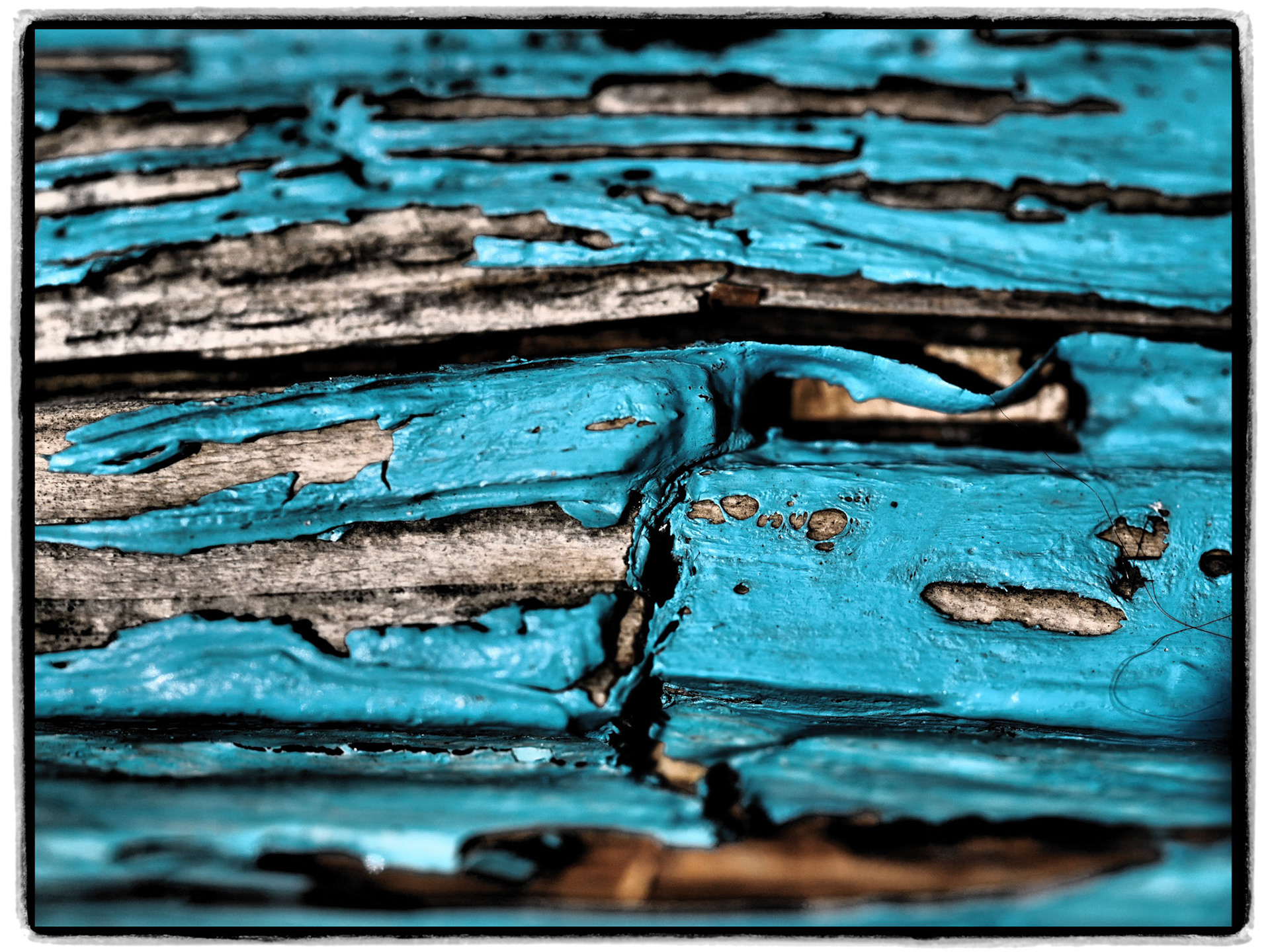 Holz