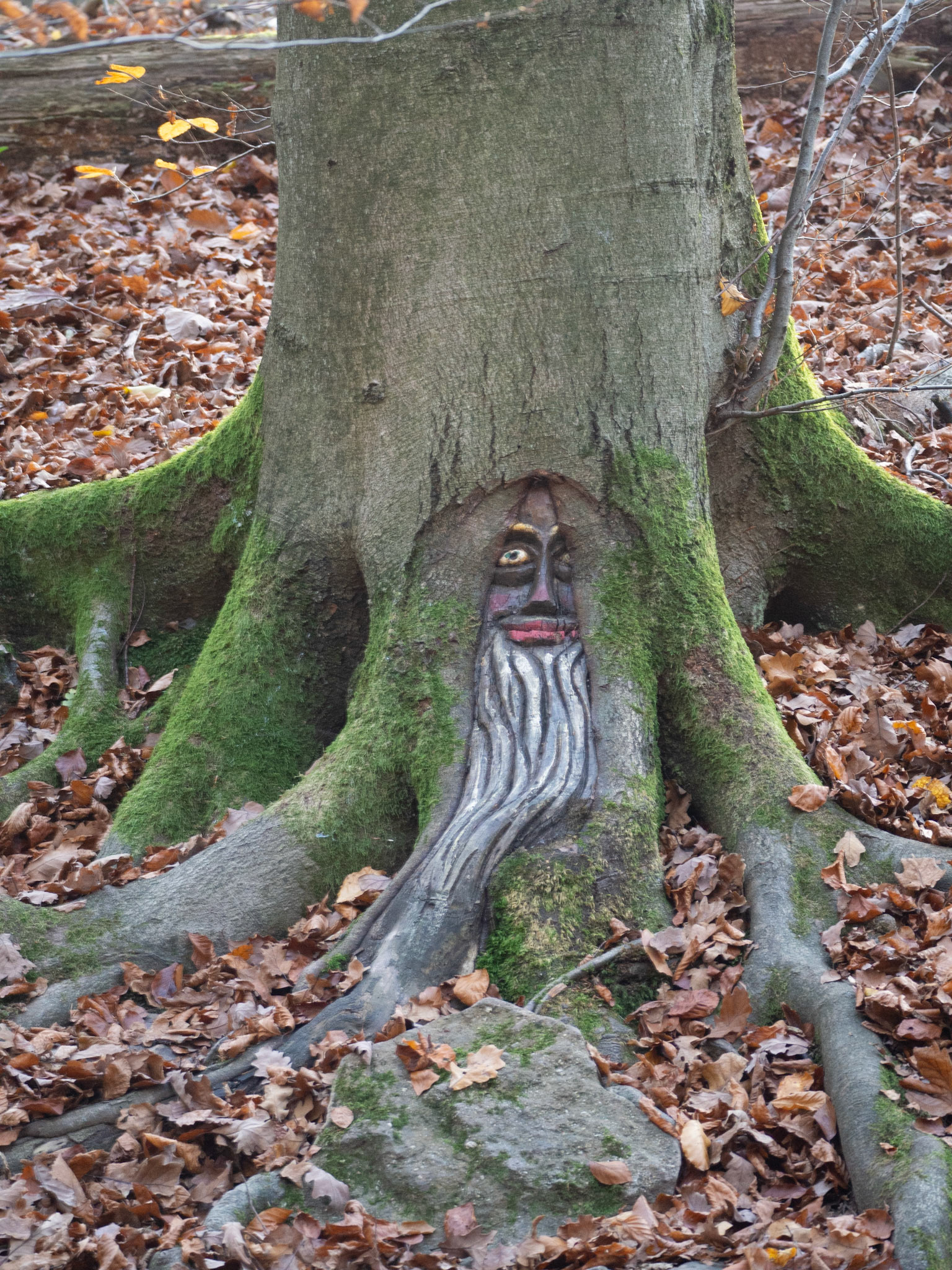 STECKENSCHLÄFERKLAMM