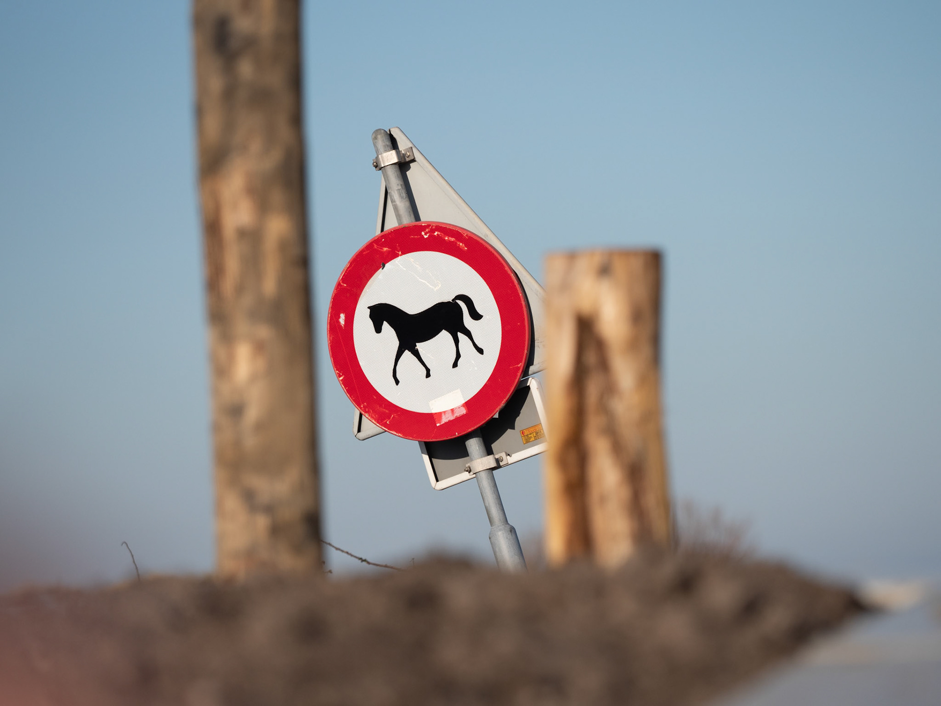 no horse