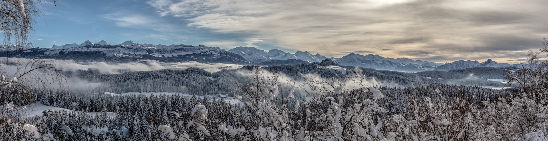 Dier Berner Alpen und Voralpen vom Aebersold BE