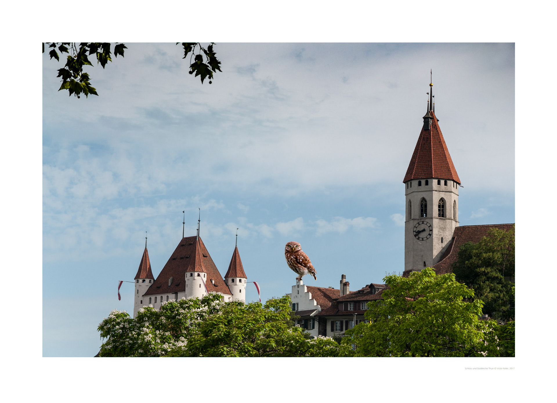 Riesenchutz über dem Chutzeturm