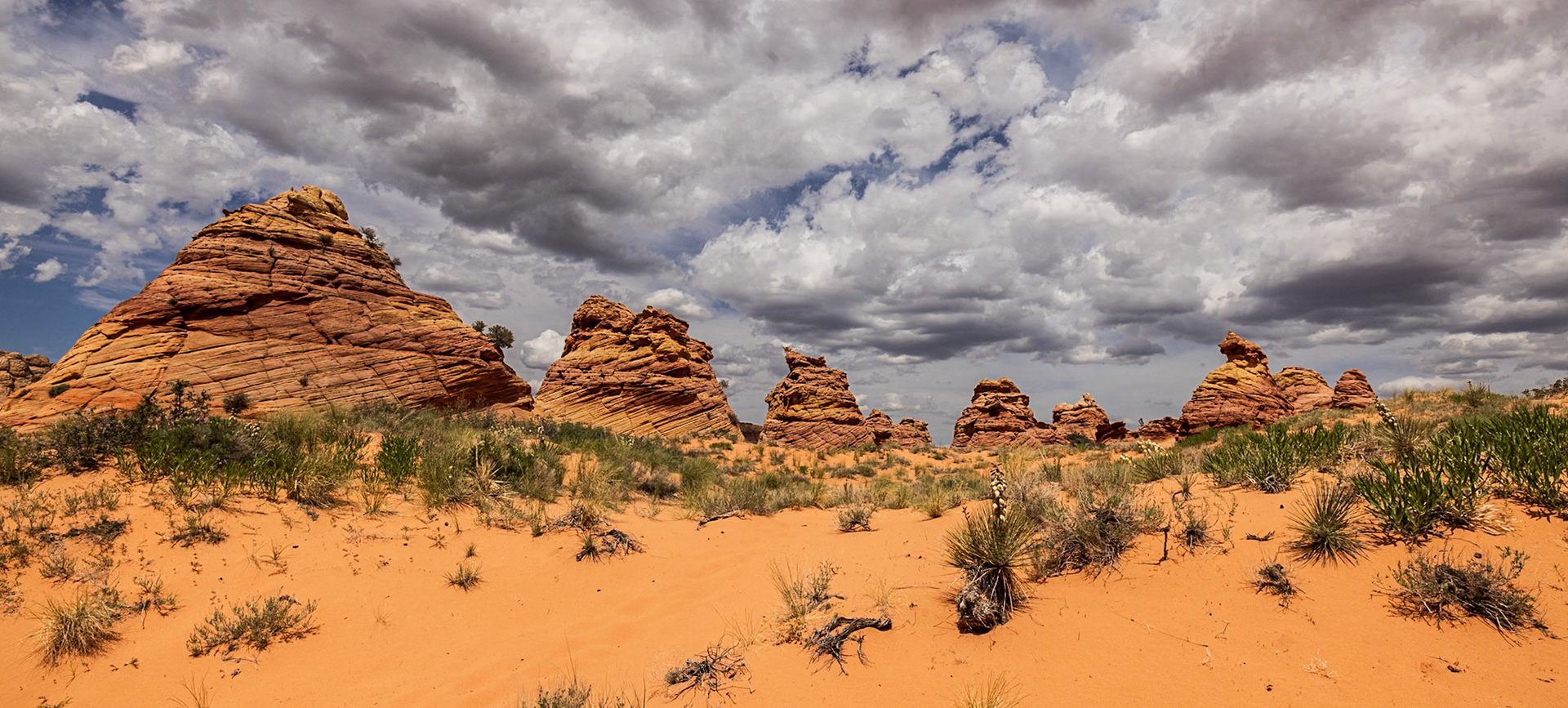 Southern Coyote Buttes, AZ