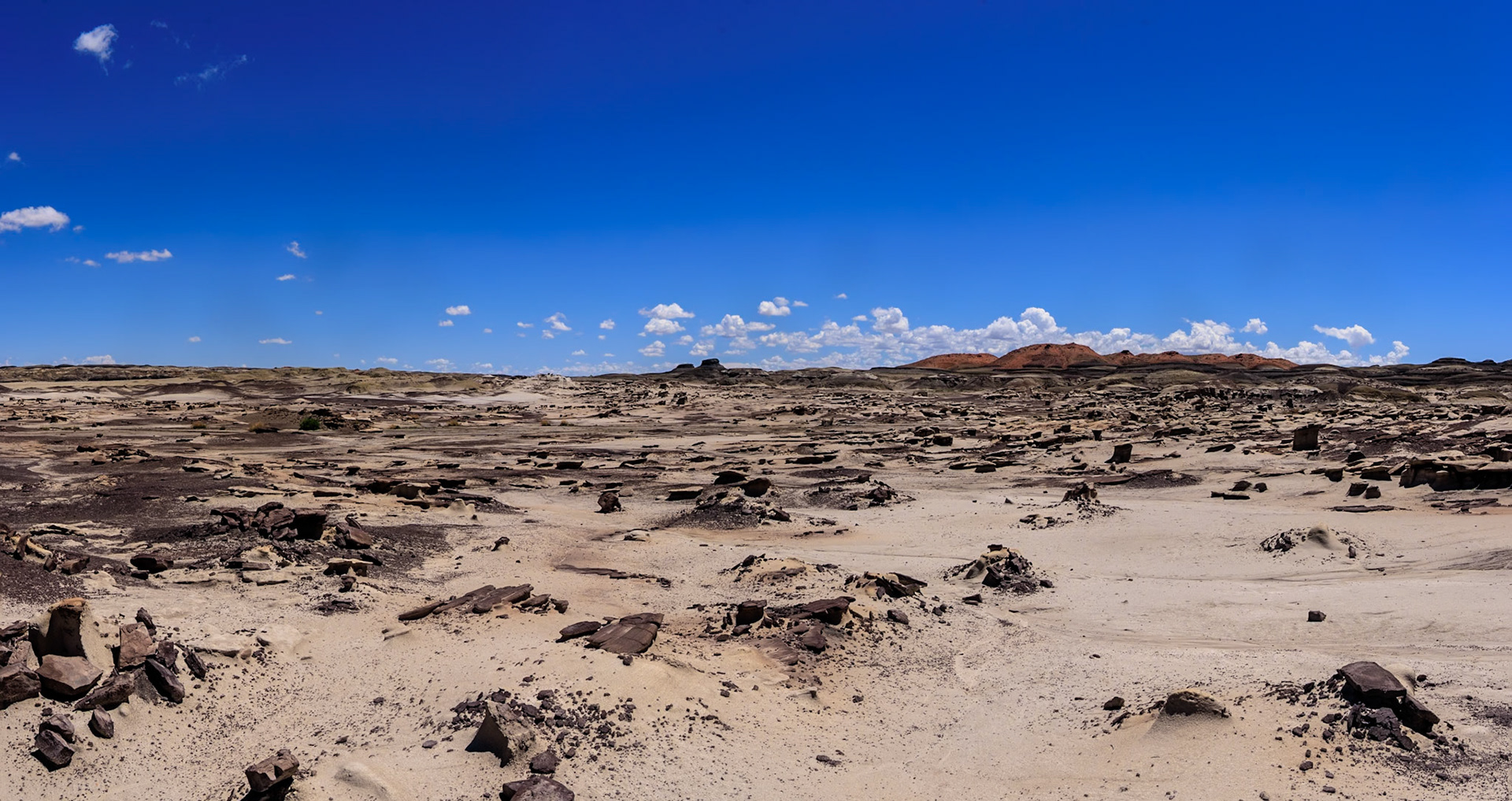 An-Shi-Sle-Pah Navajo Wilderness, NM