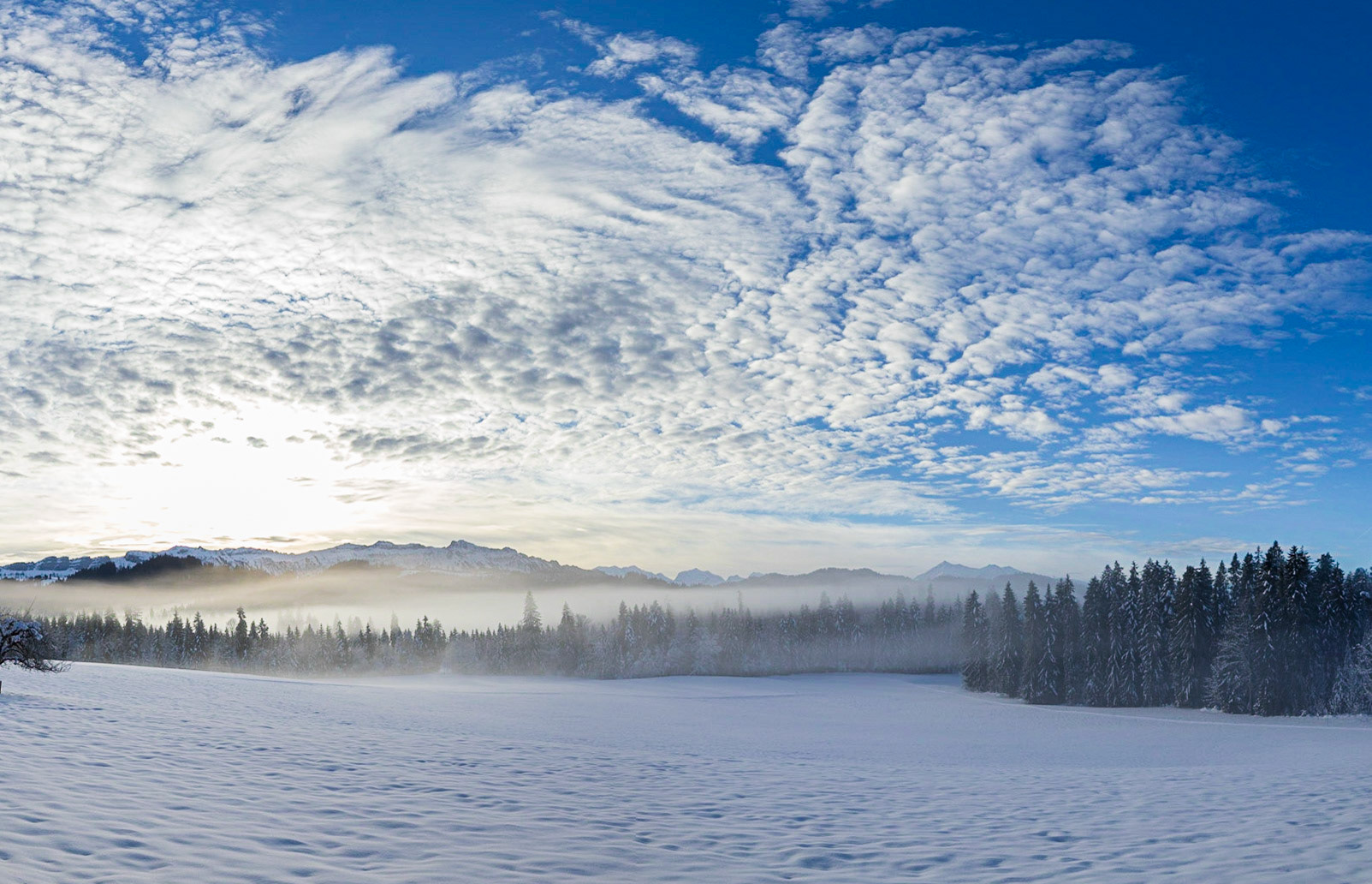 Berner Voralpen von Wachseldornd BE