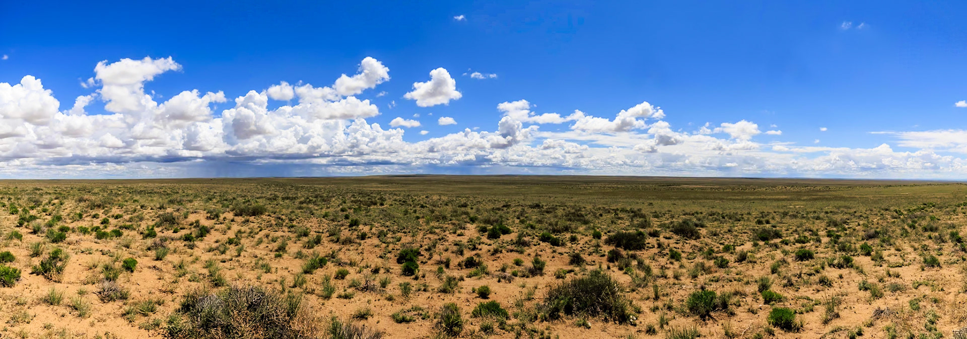 Prairie near Bisti badlands, San Juan Bassin, NM