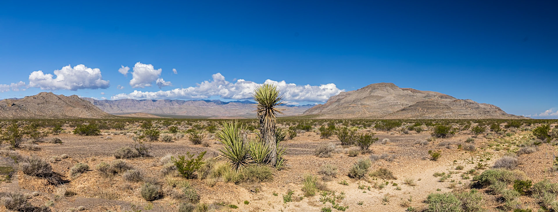 Beside Highway 93, near Caliente Nevada, NA