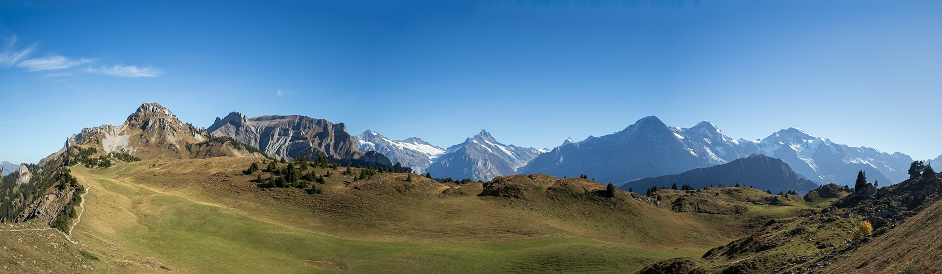 Berner Alpen von der Schynige Platte BE