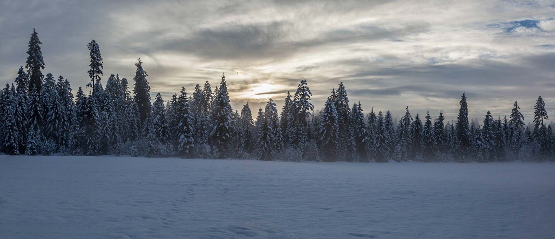 Bei Oberlangenegg BE