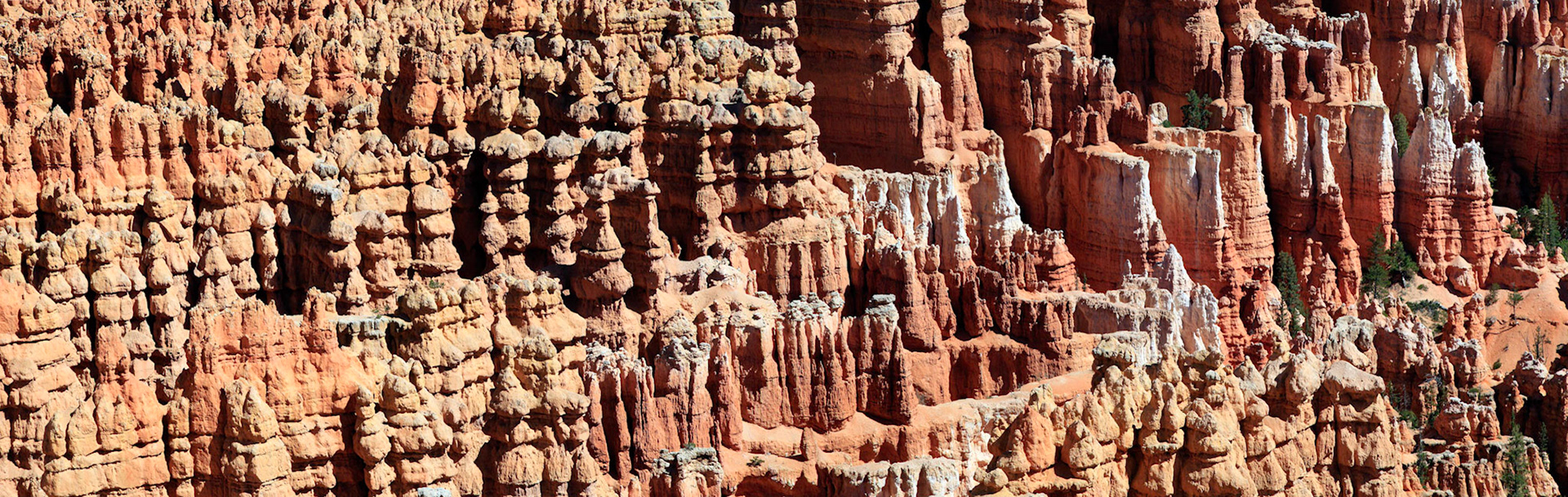 The Hoodoo Parliament of the Bryce Canyon, UT