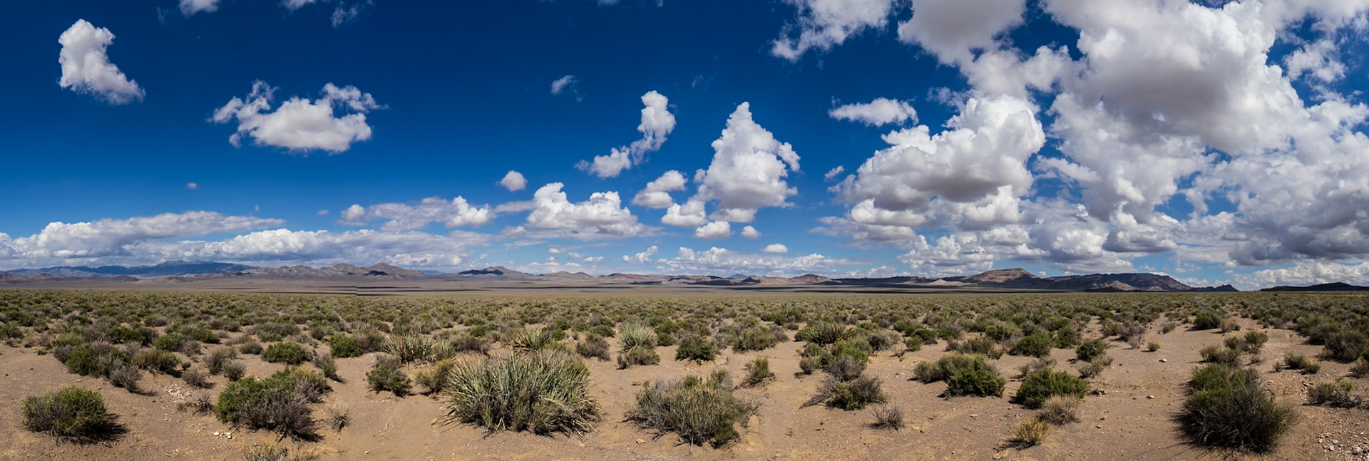 Prairie, beside Highway 93, near Caliente, NA