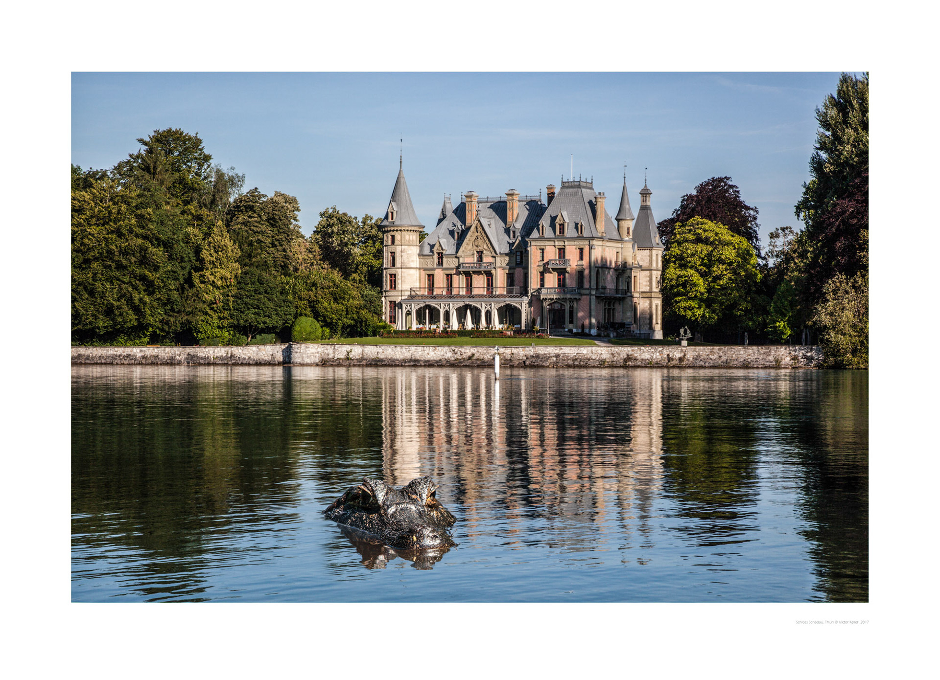 Krokodil vor Schloss Schadau