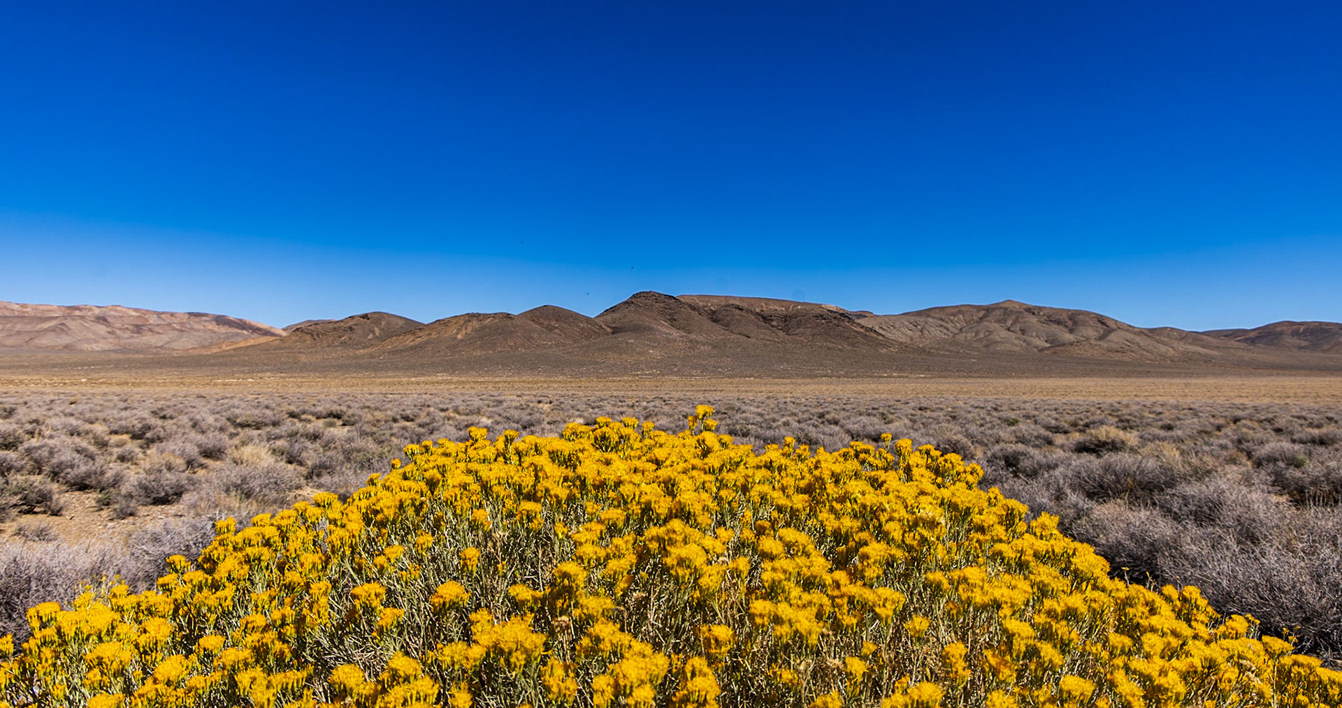 Living Death Valley, CA