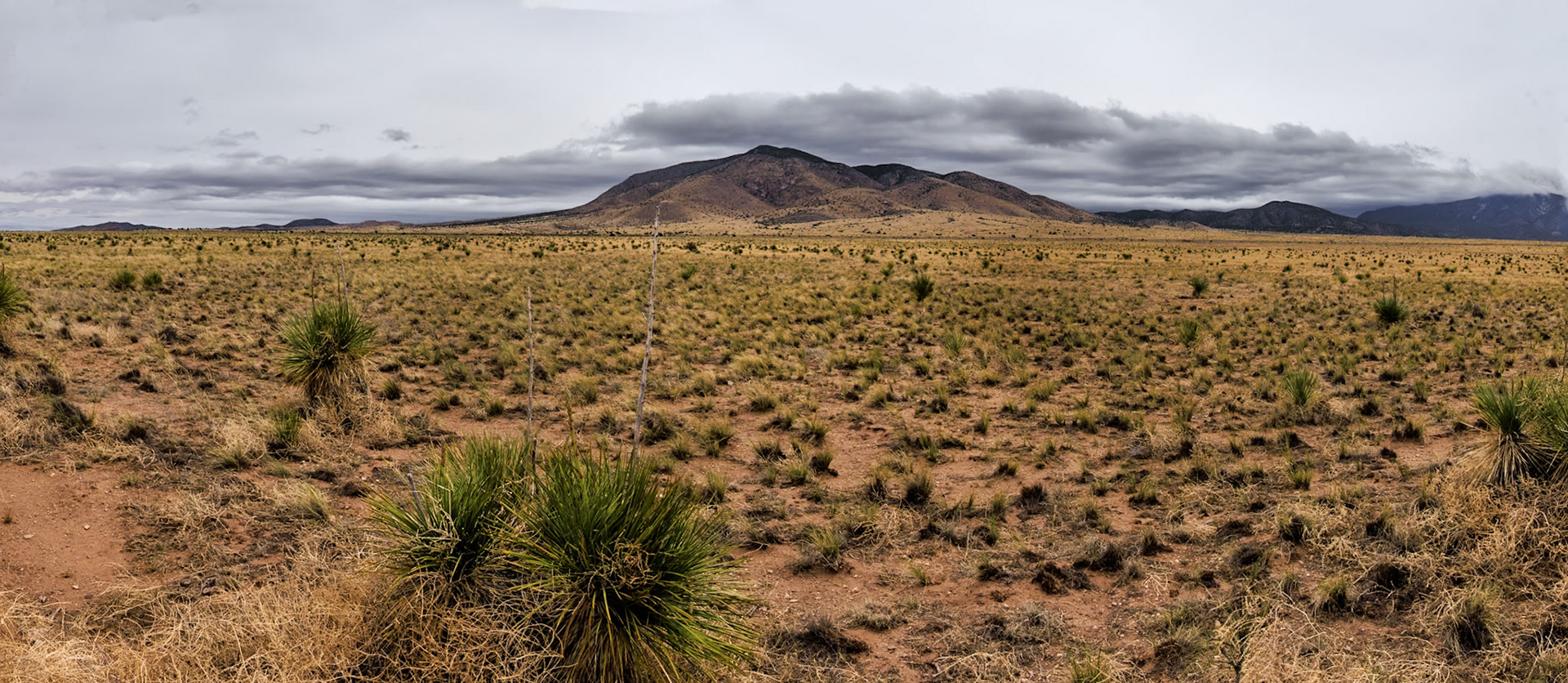Prairie near Santa Fe, NM