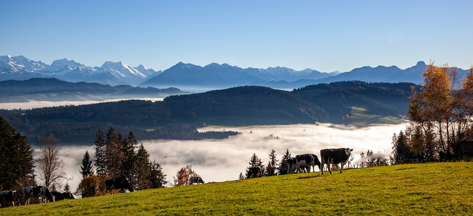 Niesen und Stochhorn vom Chuderhüsi BE