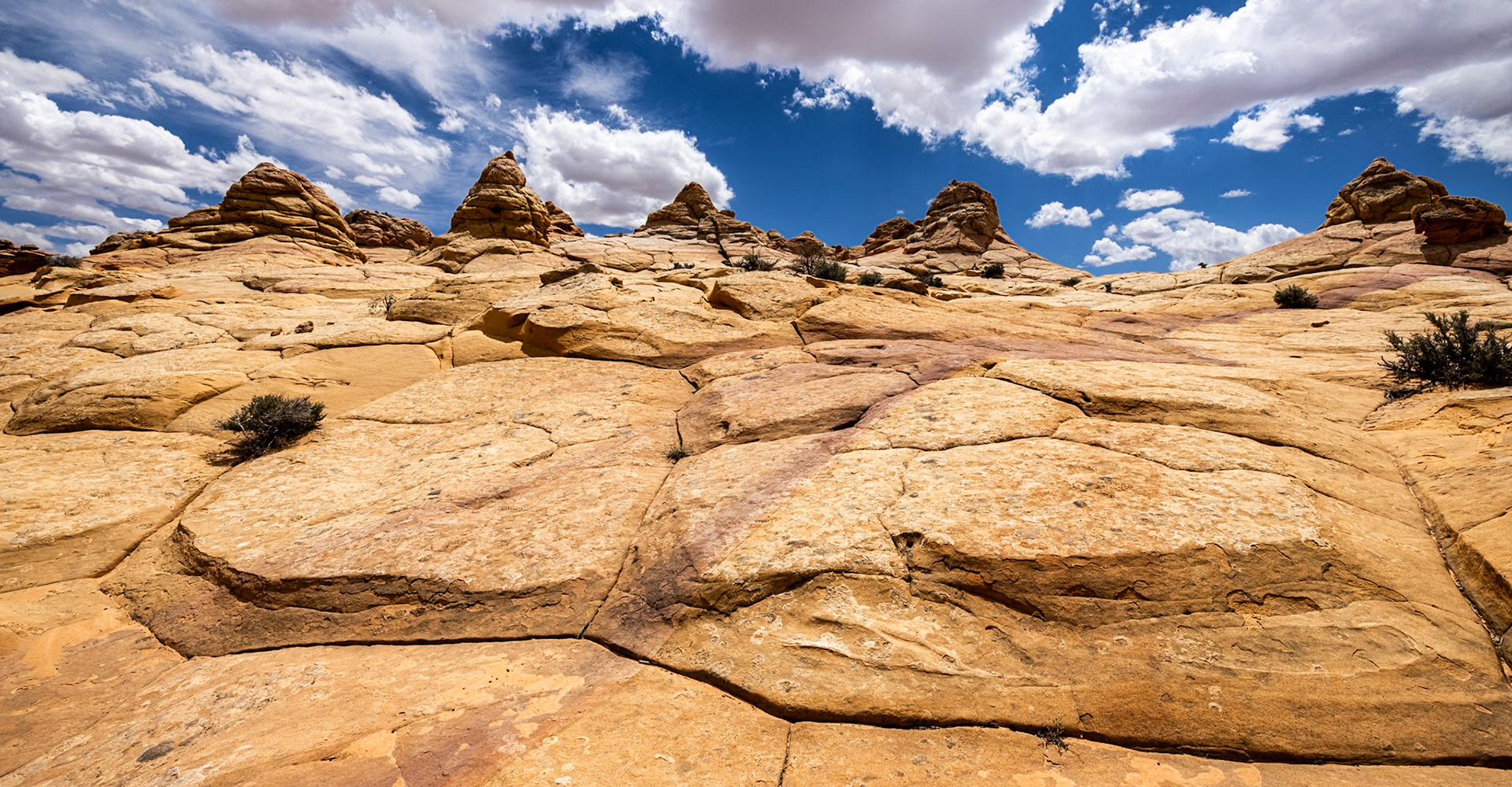 White Pocket, Paria Canyon, AZ