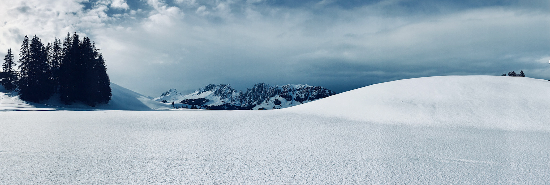 Im Hintergrund die Gastlosen vom Jaunpass BE / FR