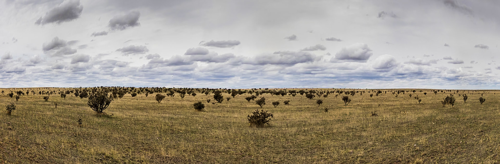 Prairie near Santa Fe, NM