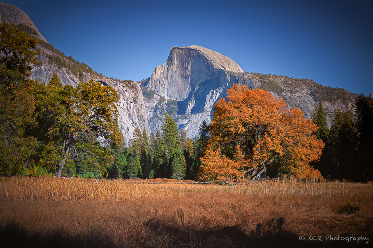 Afternoon Light on Half Dome