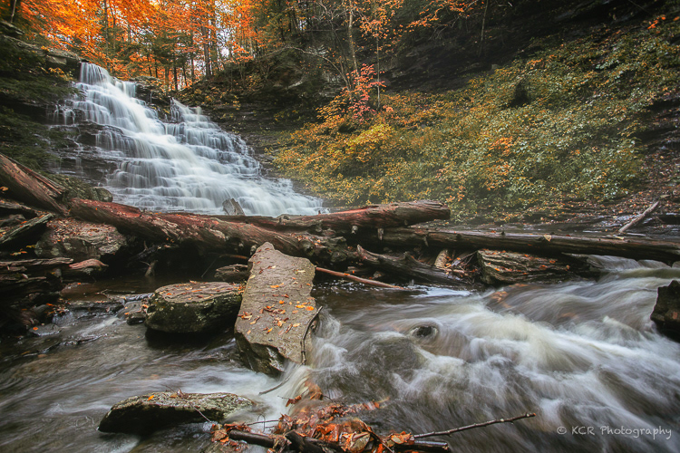 Rickett's Falls 01 - Rickett's Glen