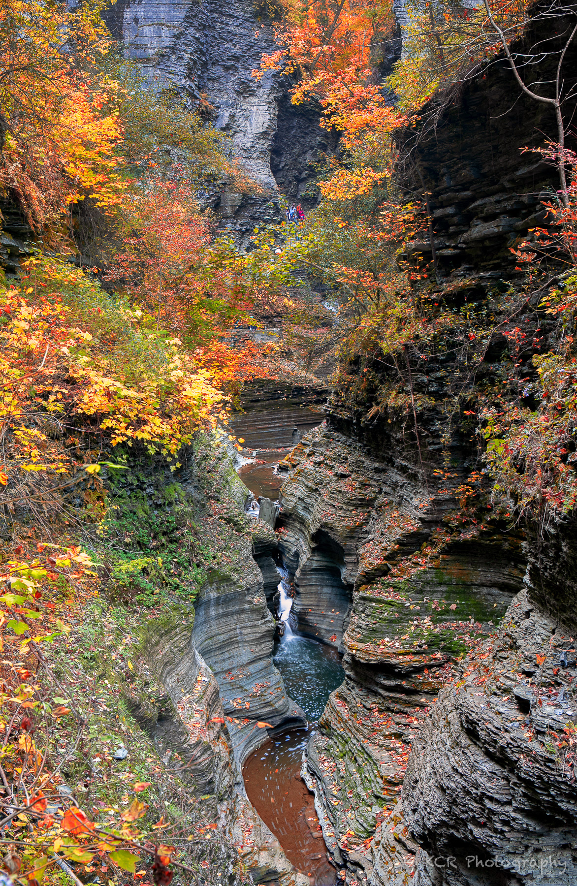 Watkin's Glen Gorge Colors