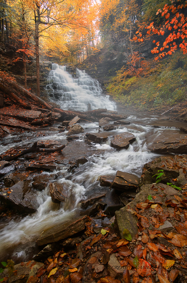 Rickett's Falls - Portrait