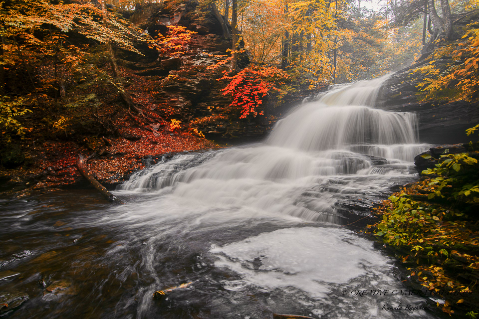Onondaga Falls 02 - Rickett's Glen