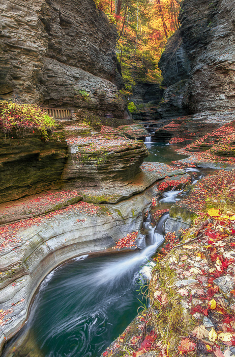 Watkin's Glen Gorge