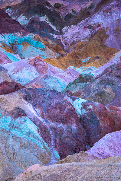 Desert Palette