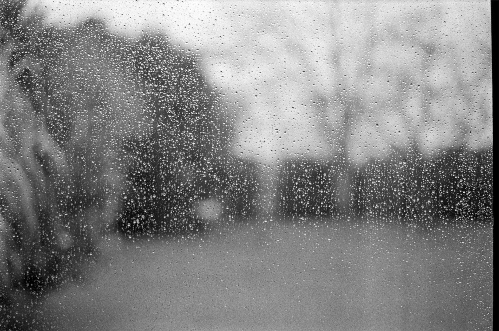 This is a photo by Andreas Timm