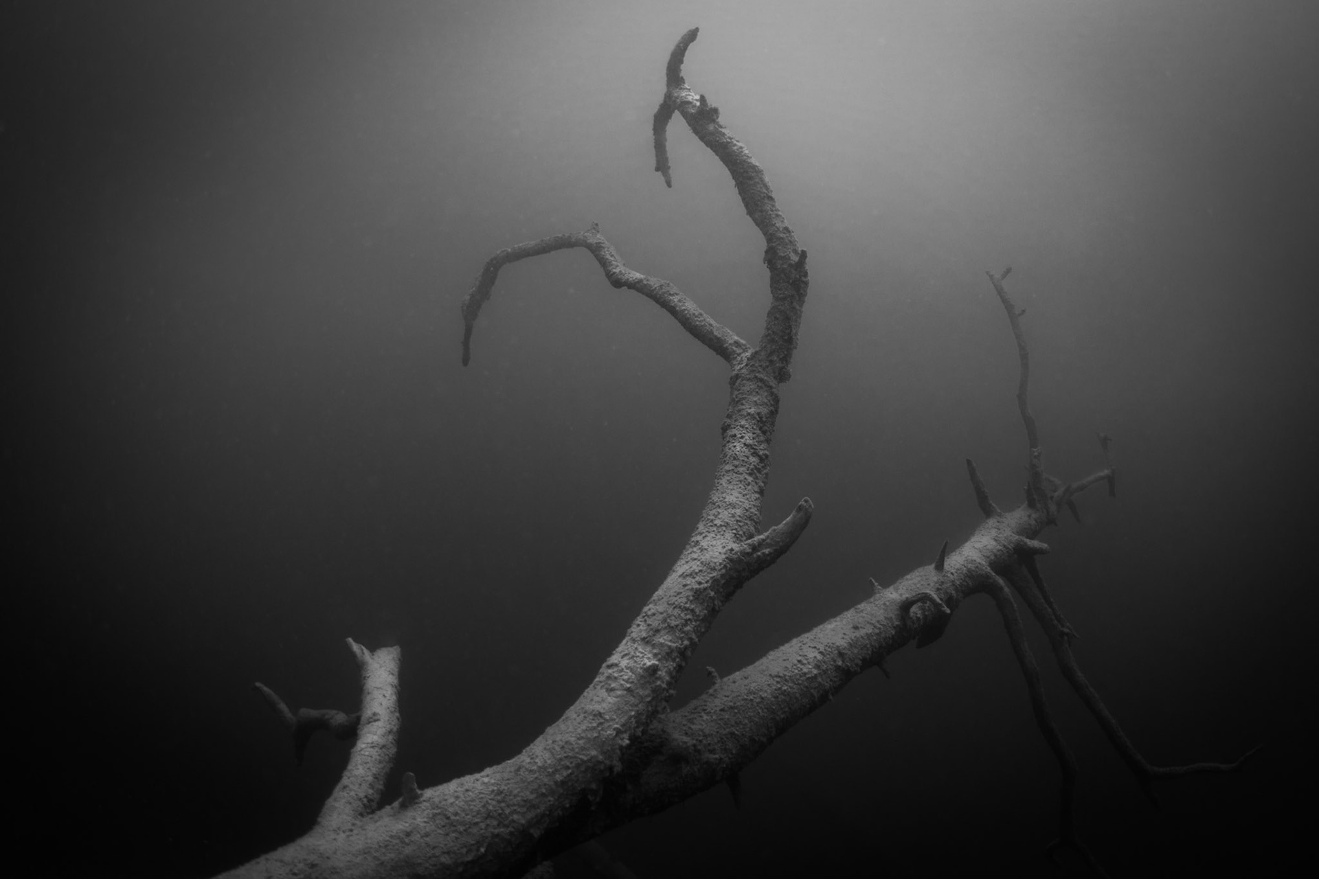Scuba Diving Blindsee, Austria, 2018-07-22