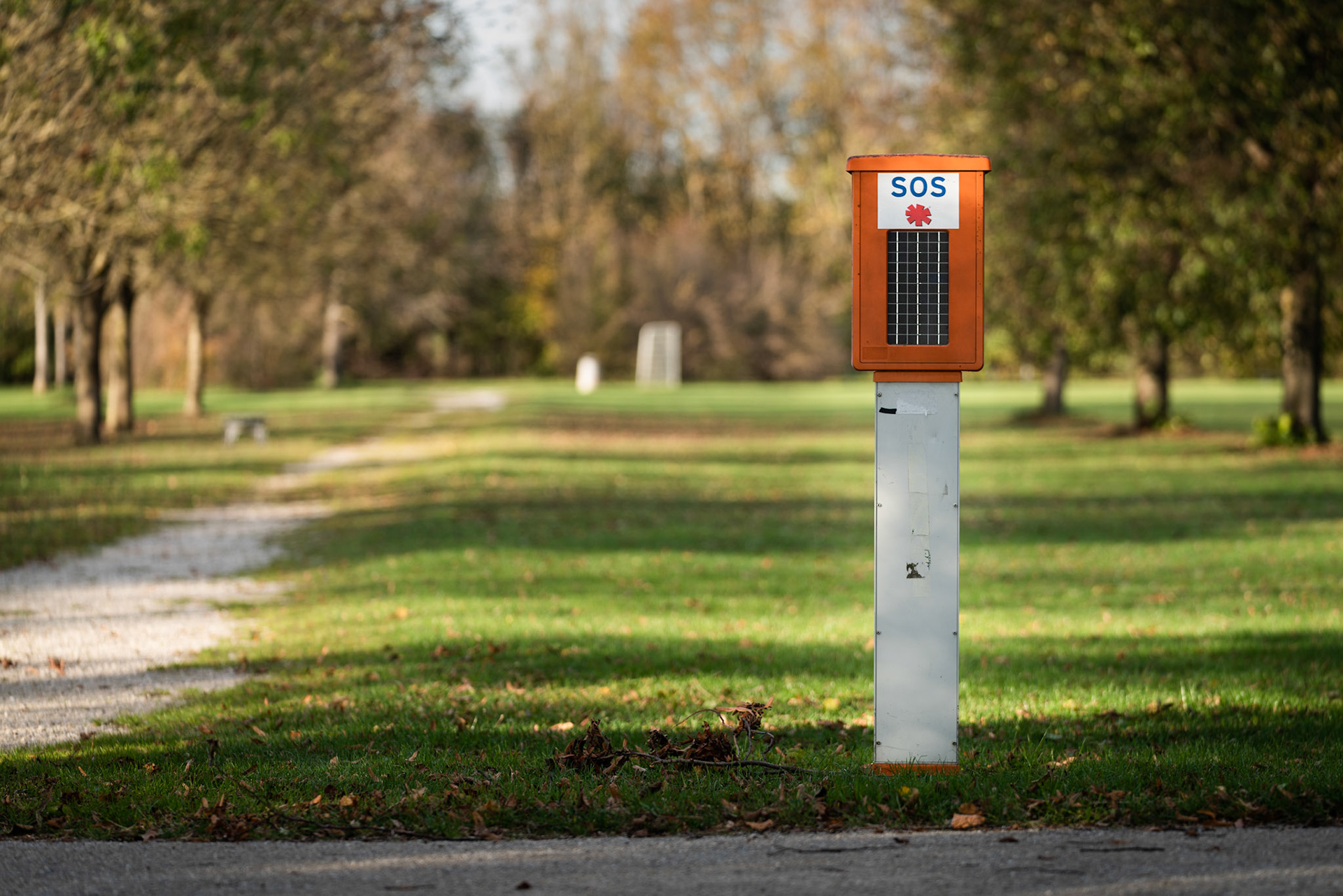 Langwieder See, November 2018