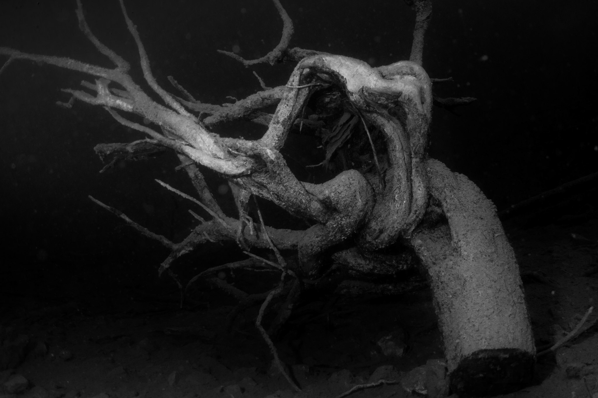 Scuba Diving Blindsee, Austria, 2018-07-22