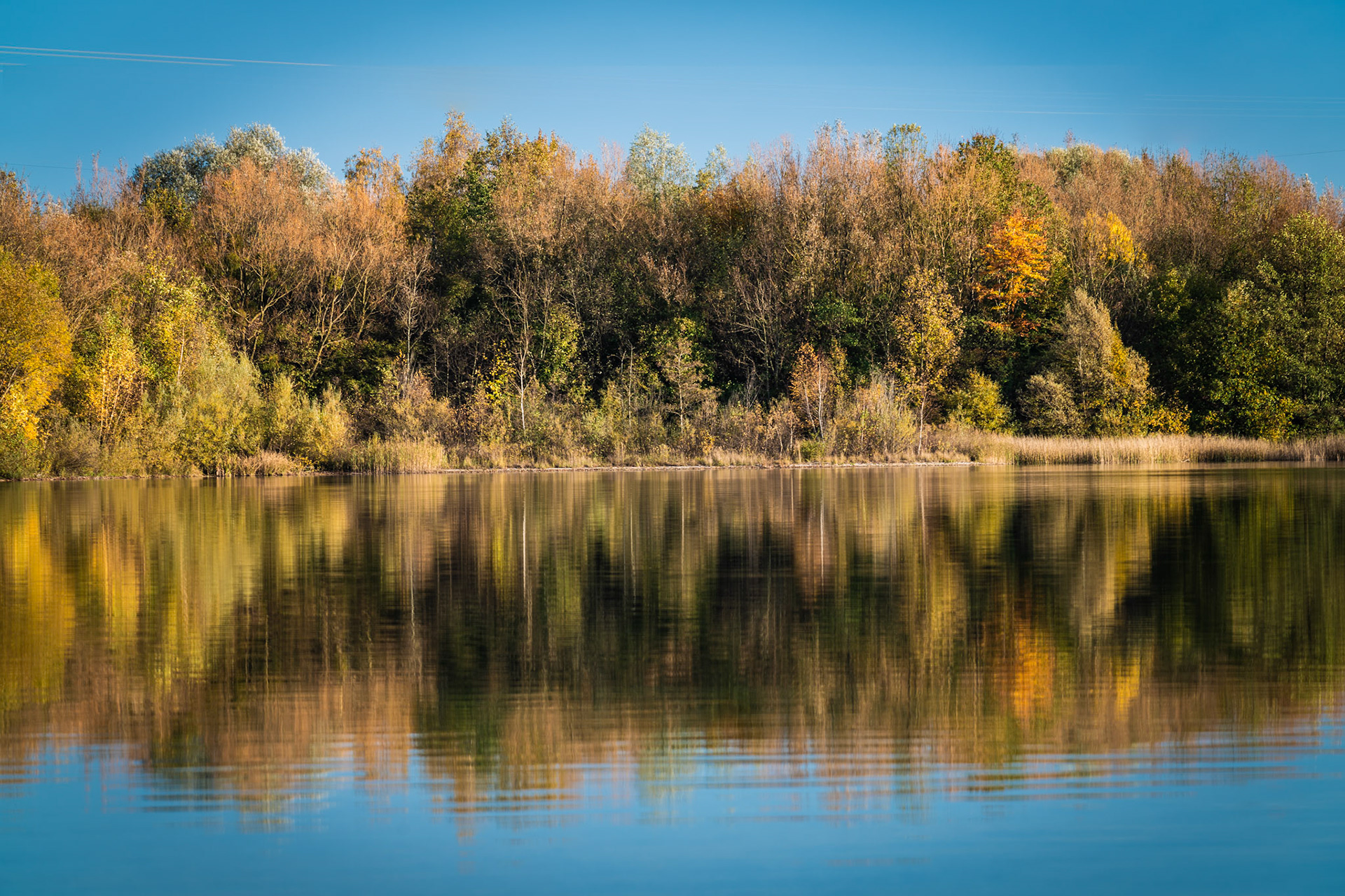 Langwieder See, November 2018