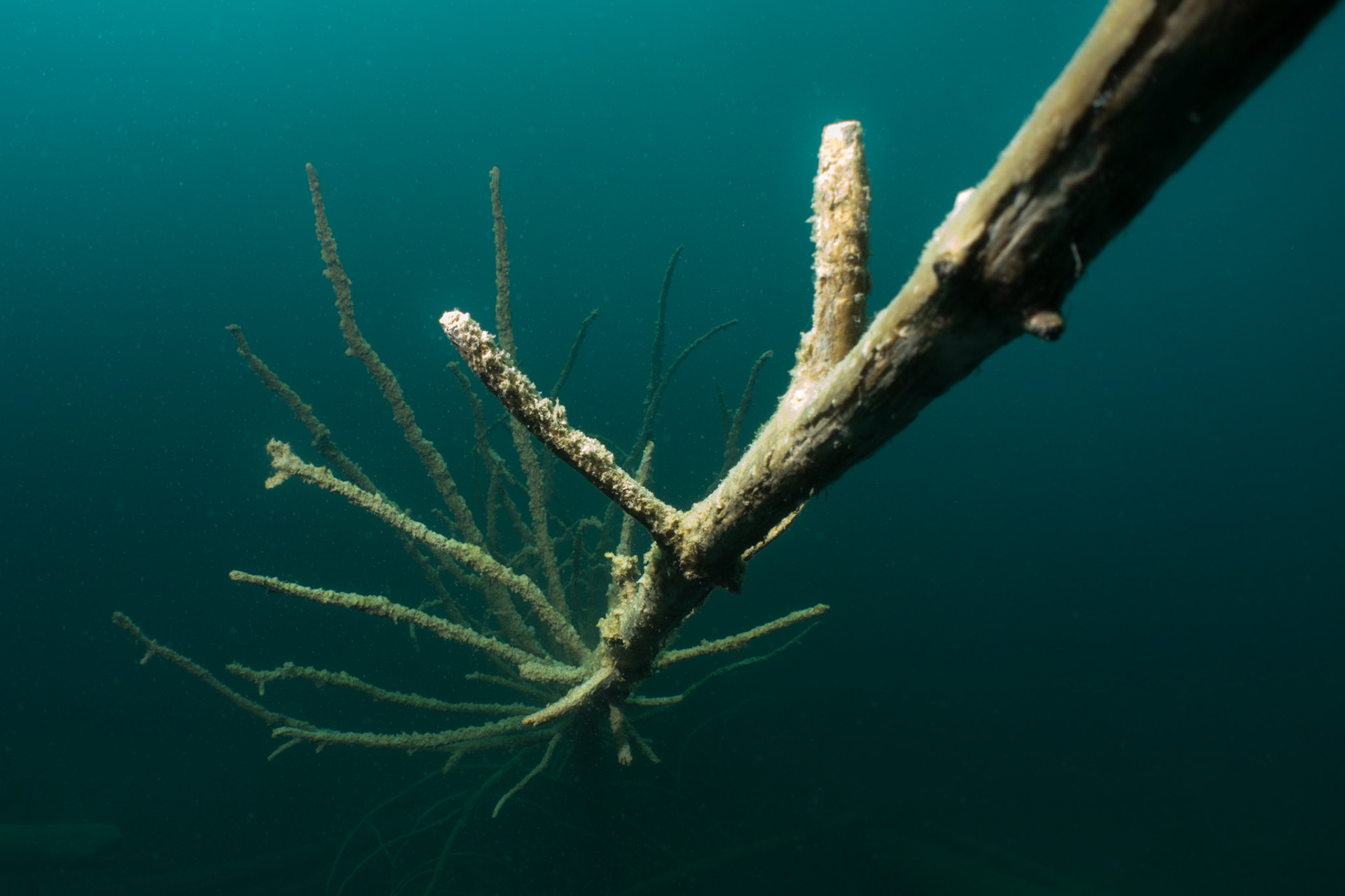 Scuba Diving Blindsee, Austria, 2018-07-22