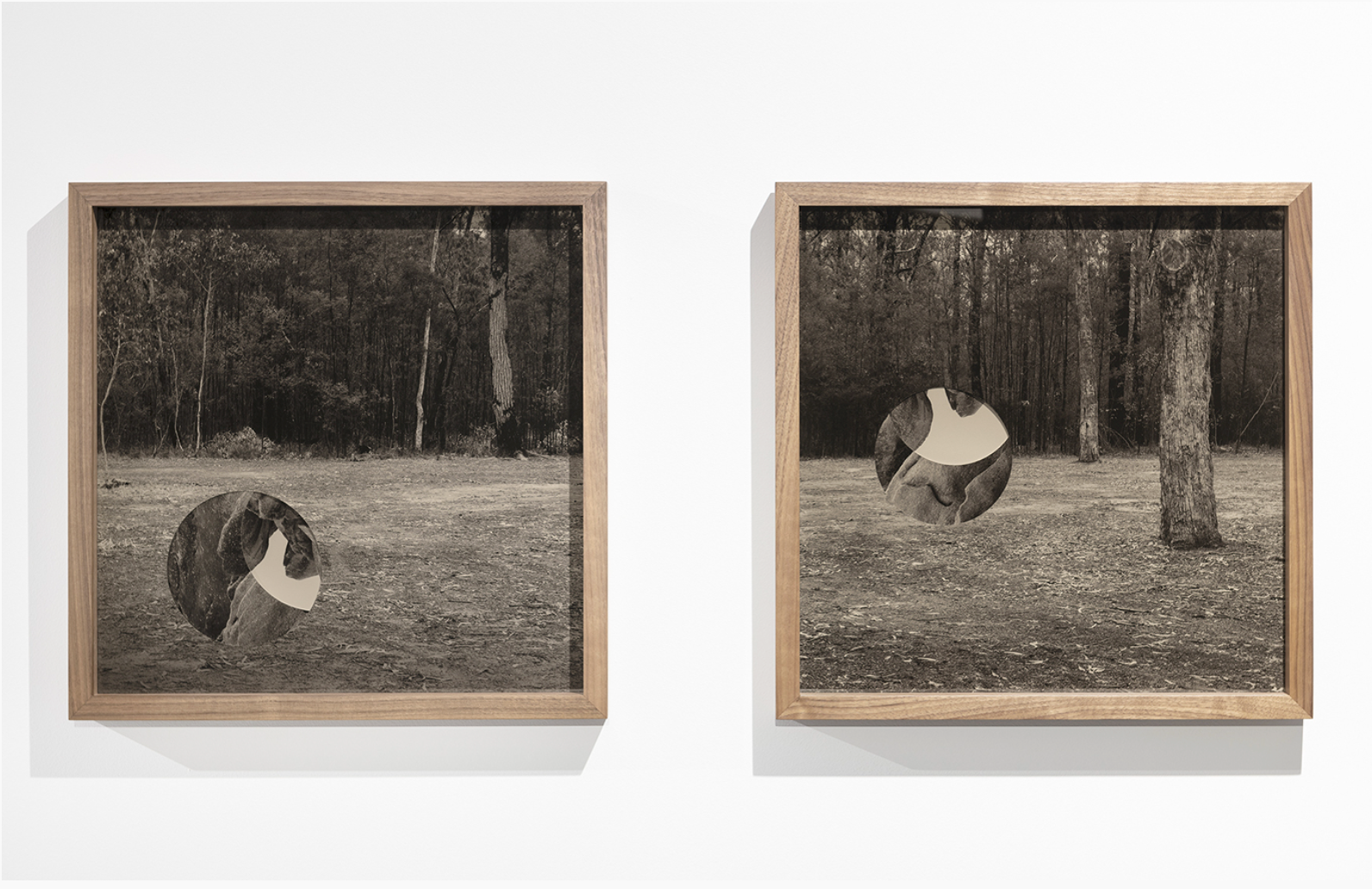 Jo Scicluna. Where The Land Lies #15 & #16 (2019). Layered archival inkjet prints on cotton rag paper, tinted acrylic, walnut timber. Gippsland Art Gallery.
