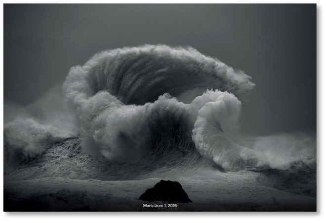 Luke Shadbolt
