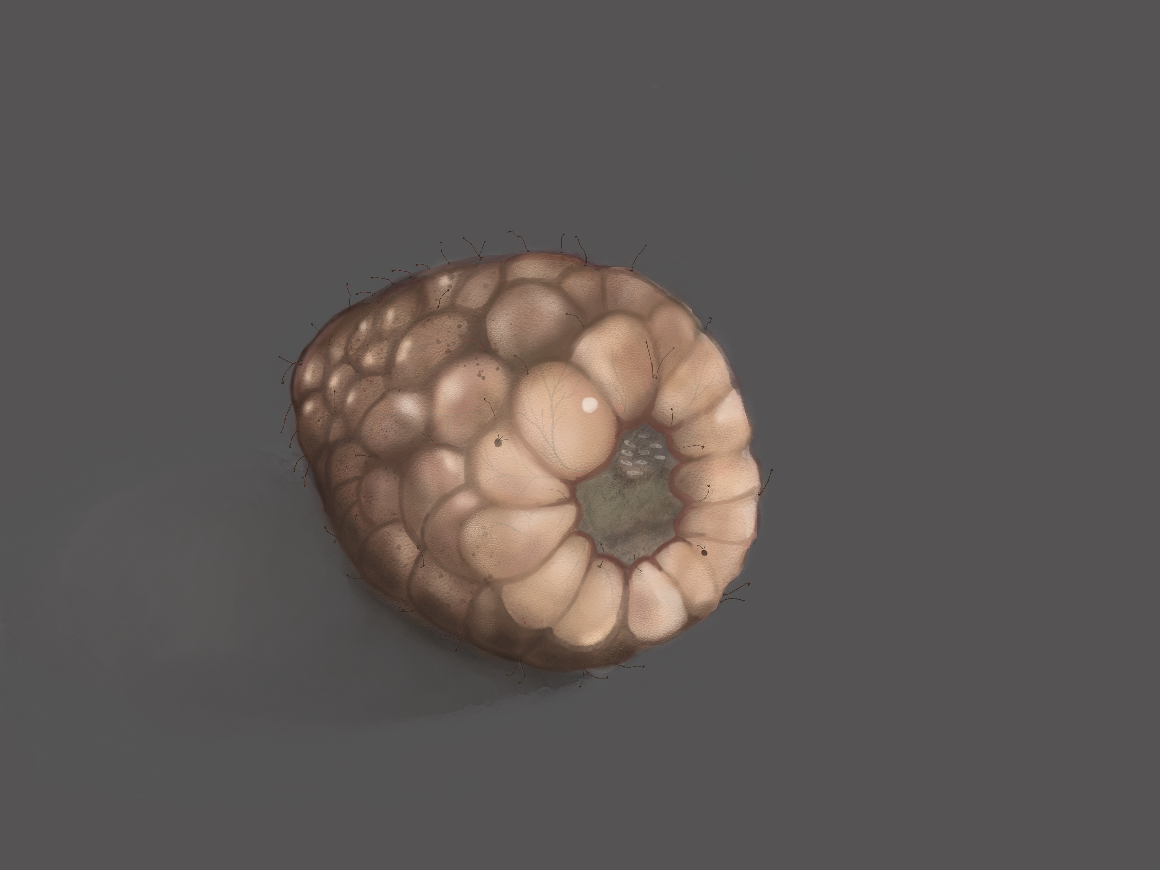 Raspberry with skin texture