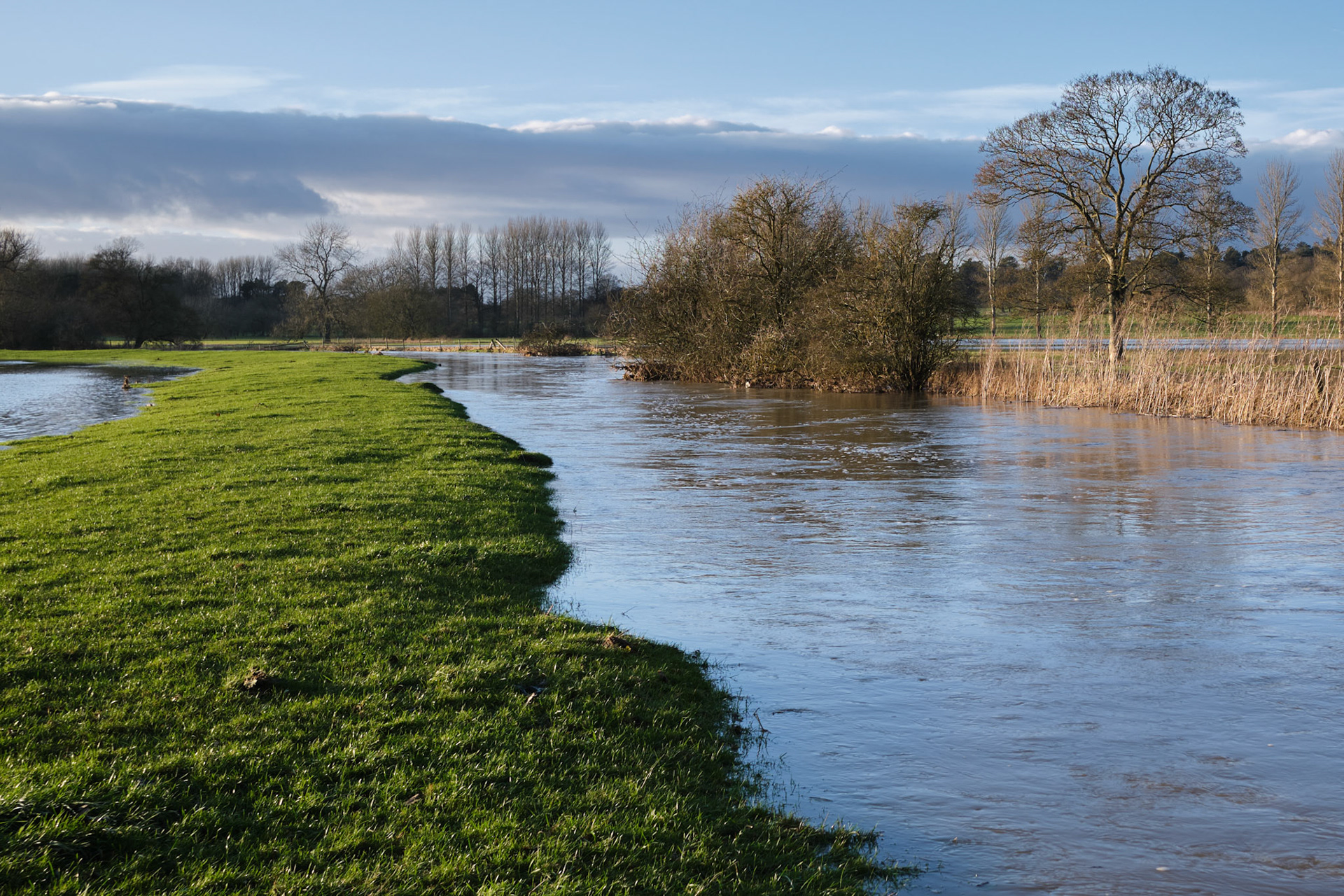 River Tove, Towcester Christmas 2020