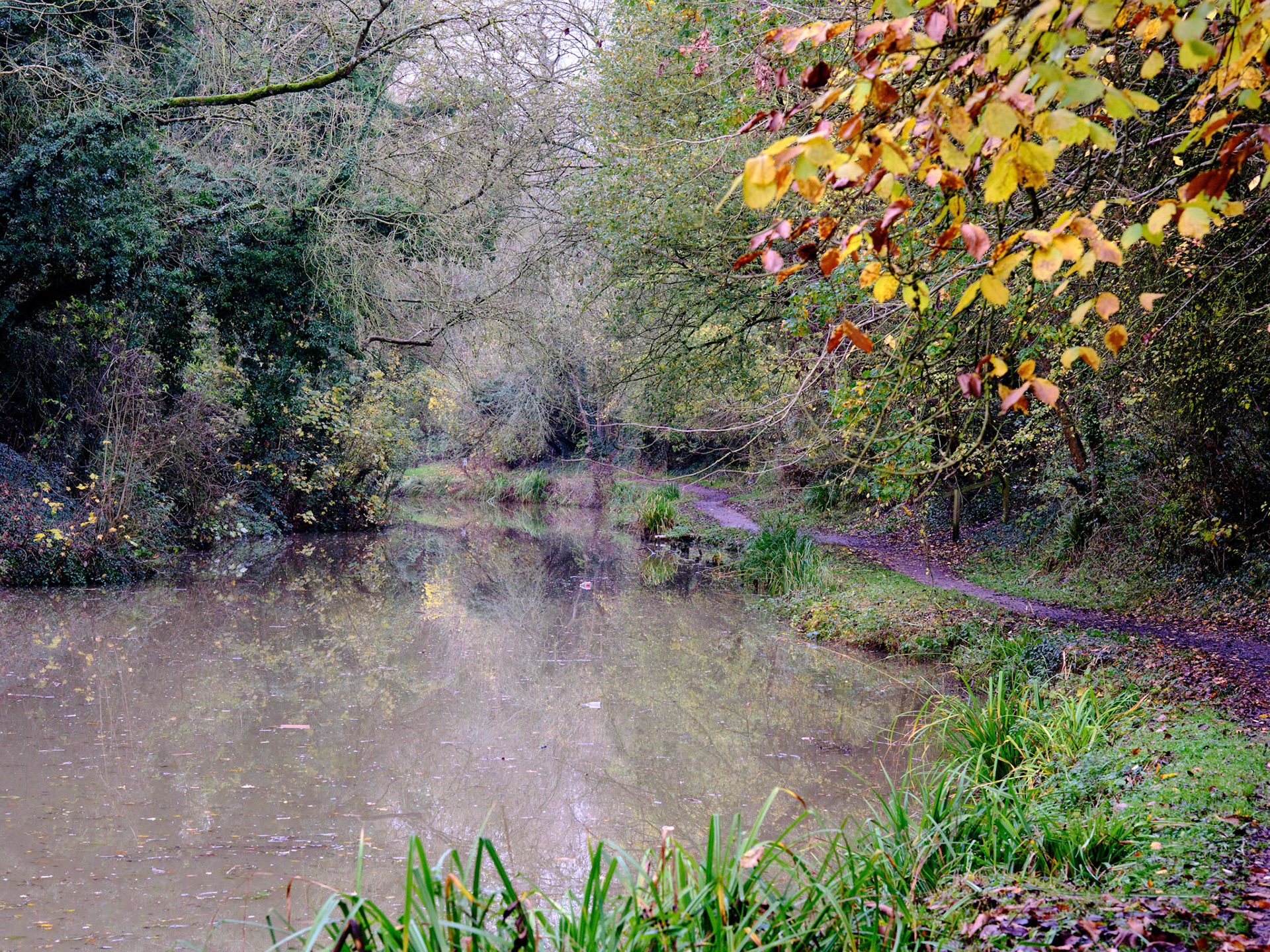 Grand Union Canal, Blisworth Nov 2022
