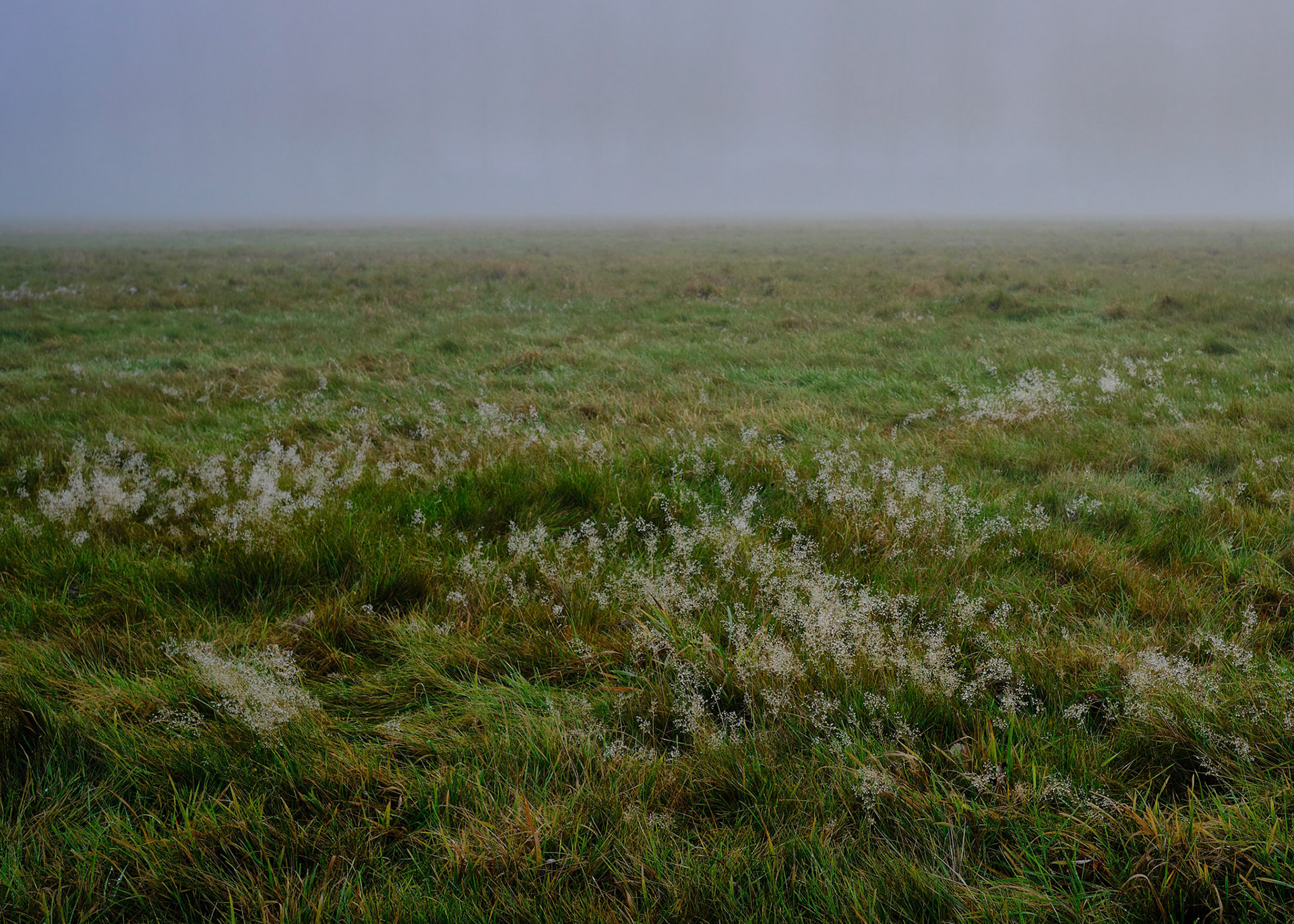 Towcester Watermeadows in Winter, Dec 2020