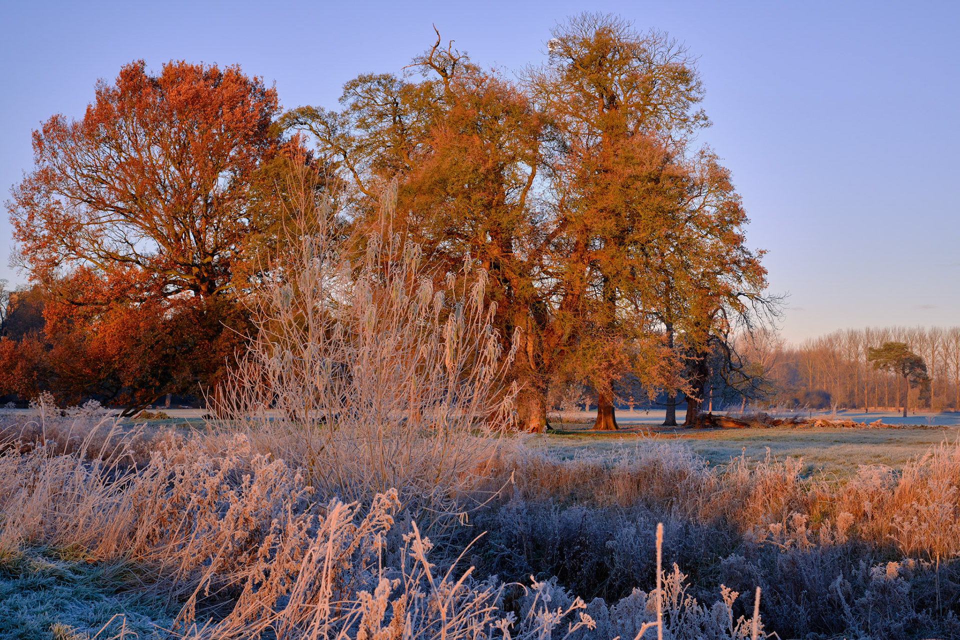 Watermeadows, Towcester (-6c), Dec 2022