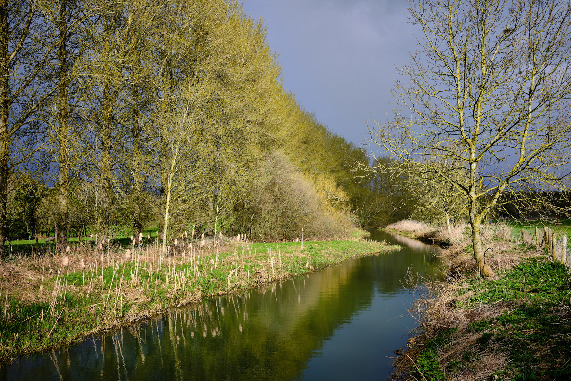 River Tove, Towcester, Apr 2022