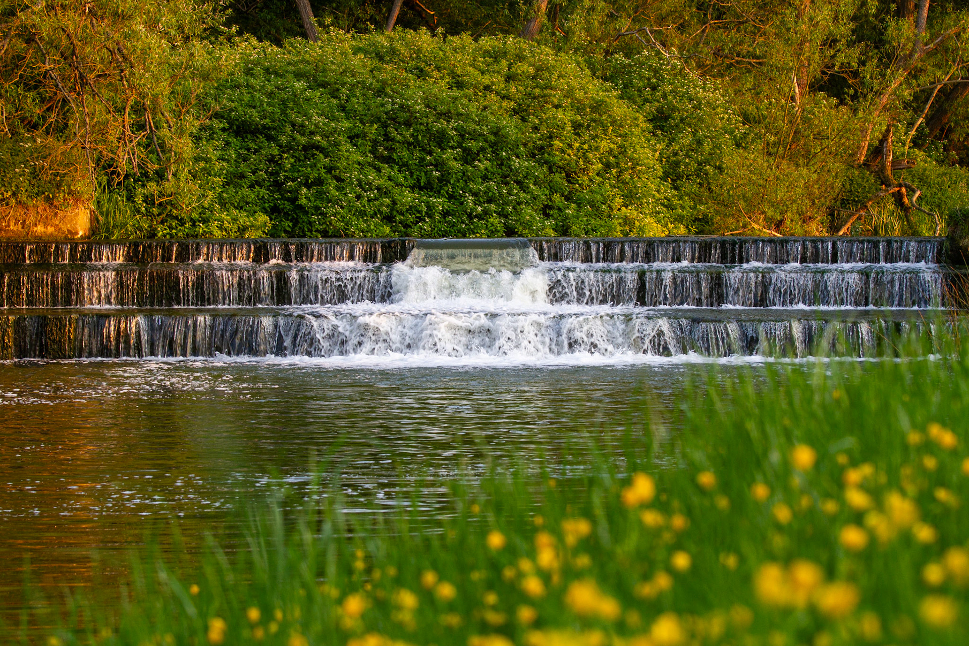 Great Ouse, Thornton 2010