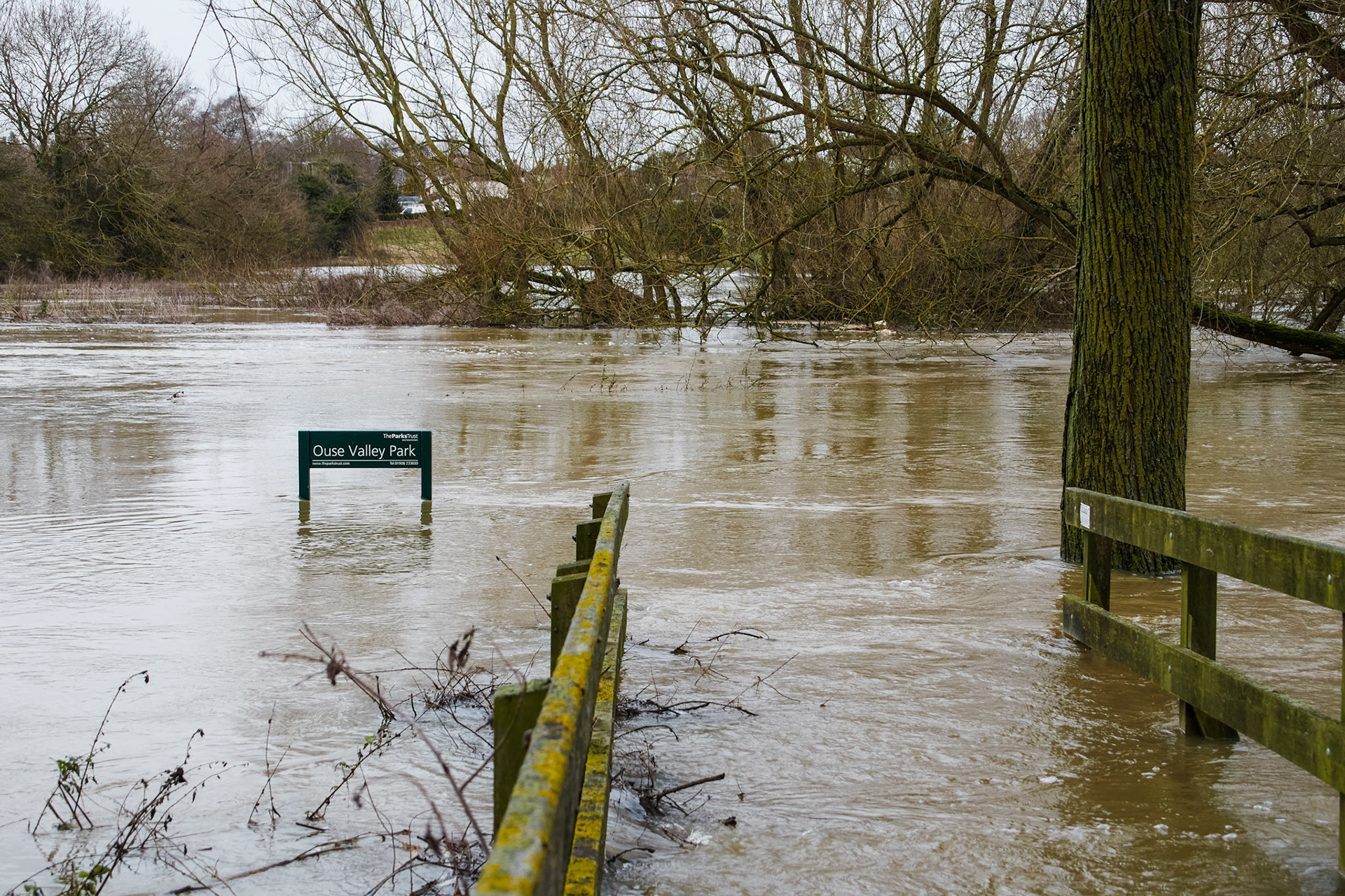 Great Ouse, Haversham 2019