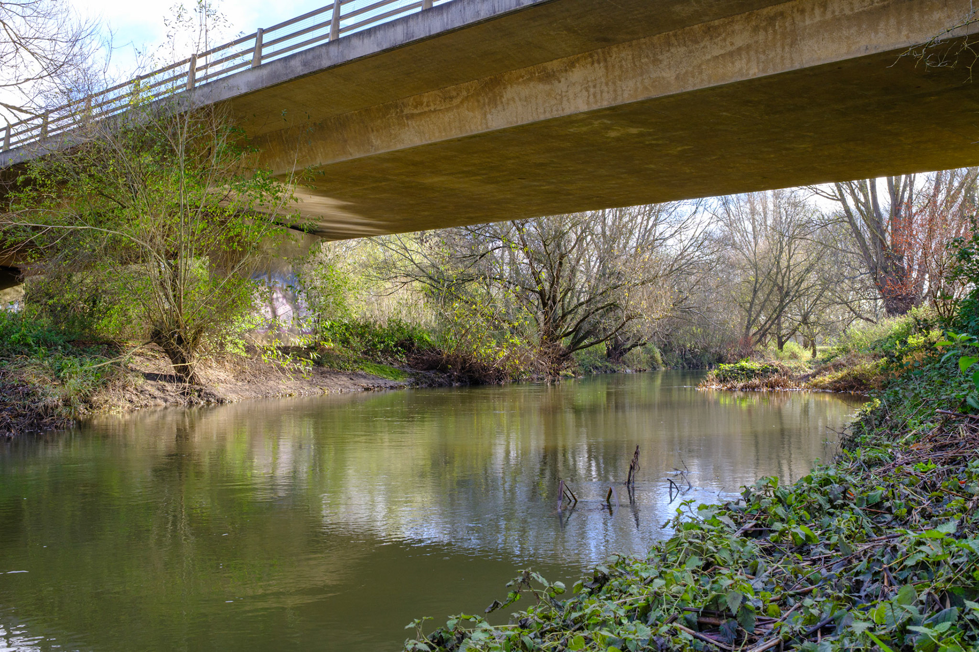 River Ouzel Milton Keynes (Nov 25)