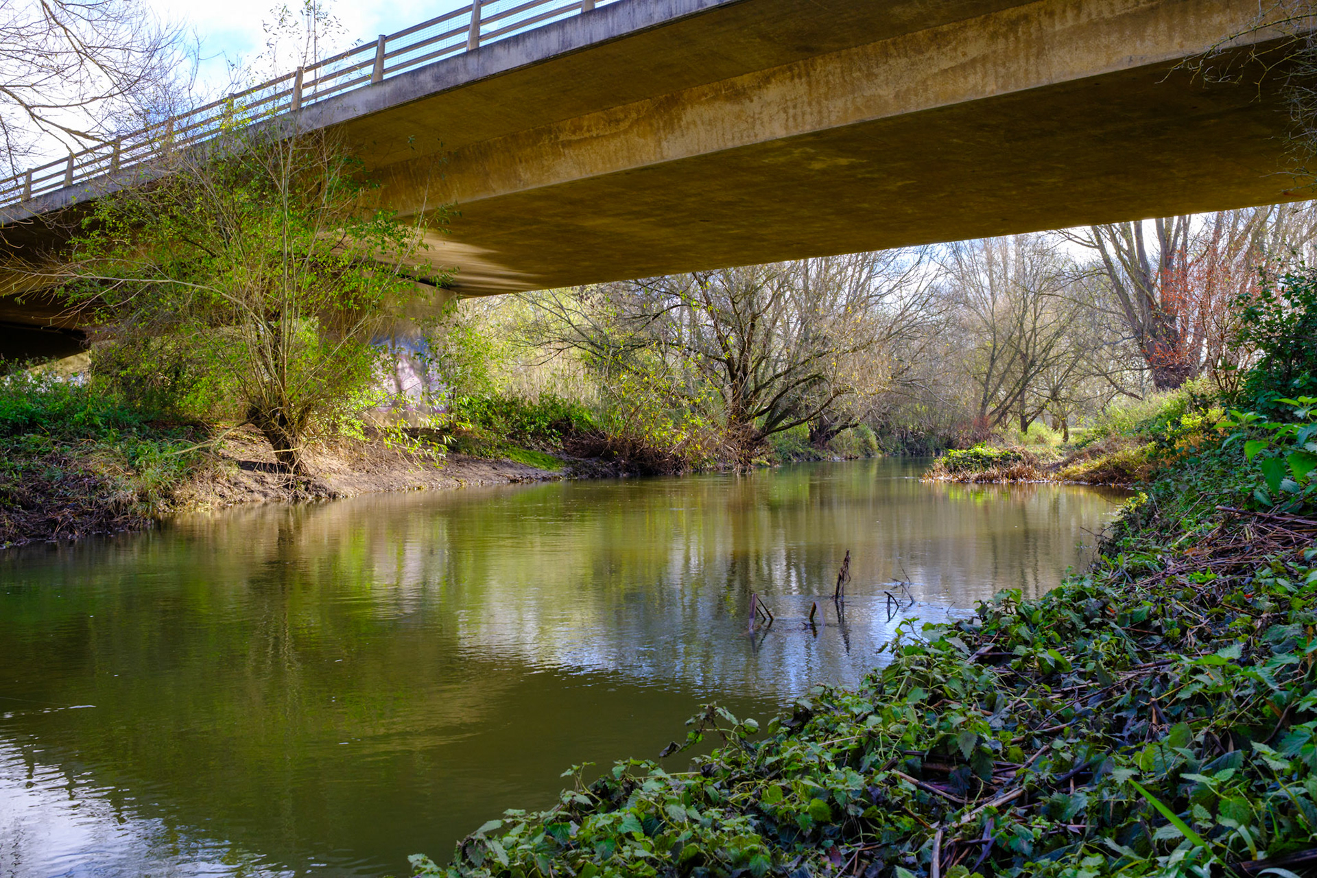 River Ouzel Milton Keynes (Nov 25)