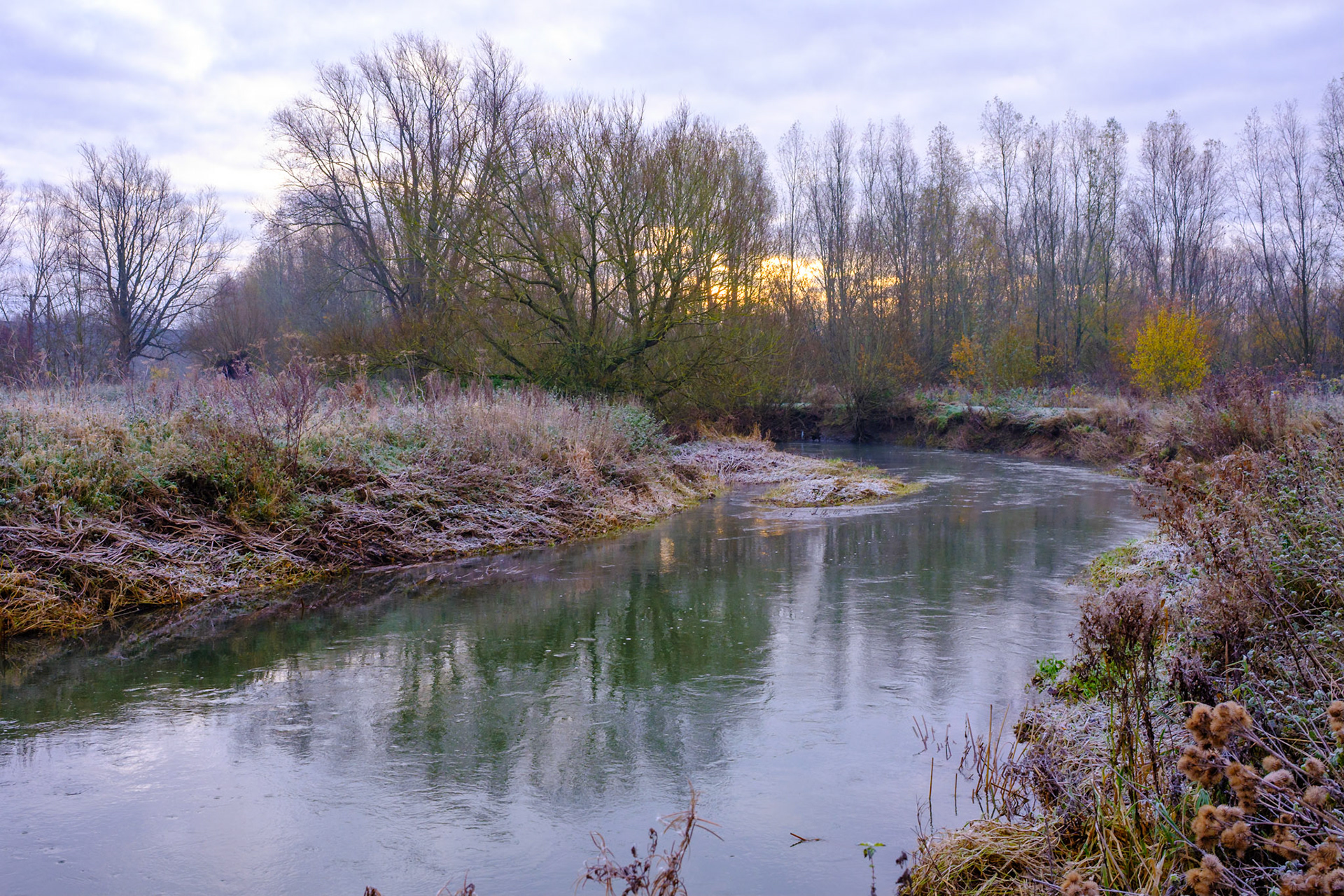 Autumnal River Great Ouse. Nov 2023